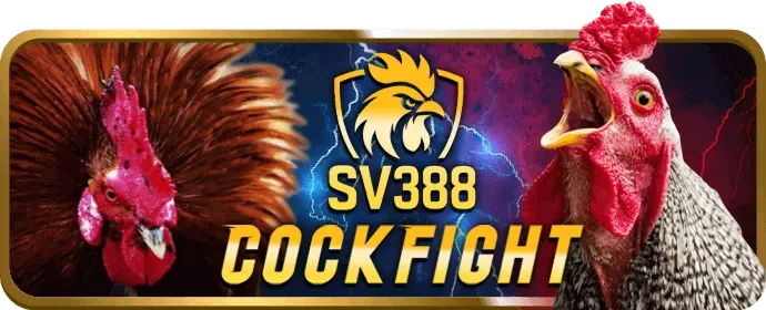 Cá cược thể thao u8888bet