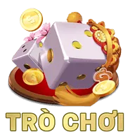 Biểu tượng tùy chọn thanh toán